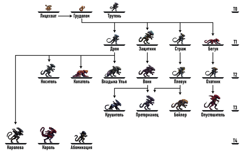 Файл:Evolution.png