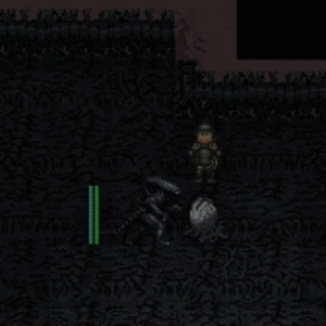 Nesting.gif