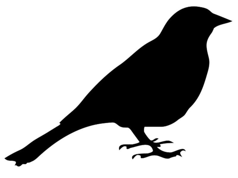 Файл:8czrbxe6i.png