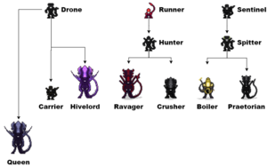 Second Alpha Evolution Chart.png