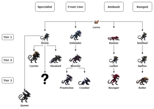 First Omega Evolution Chart.png